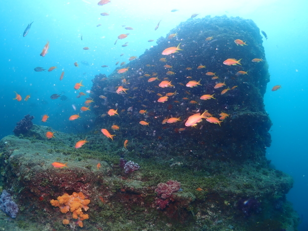 c0115421_20311761.jpg