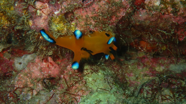 c0115421_20321357.jpg