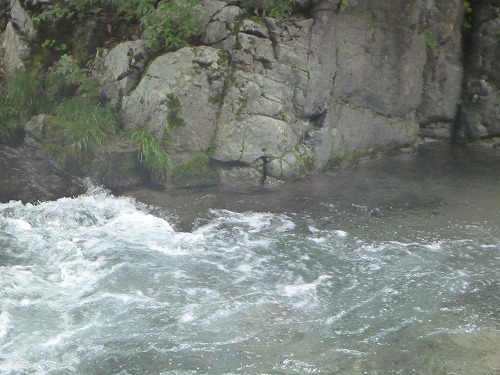 バイト釣法で山女魚釣り_d0227723_22182134.jpg