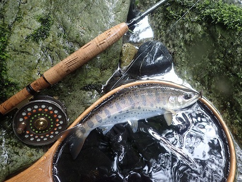 バイト釣法で山女魚釣り_d0227723_22345958.jpg