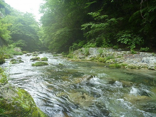 バイト釣法で山女魚釣り_d0227723_22360415.jpg
