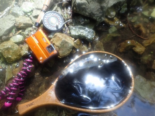 バイト釣法で山女魚釣り_d0227723_22473813.jpg