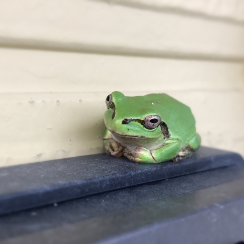 f0309325_20181188.jpeg
