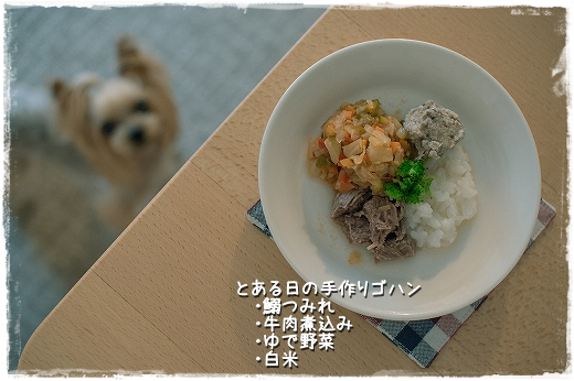 d0179828_11182447.png