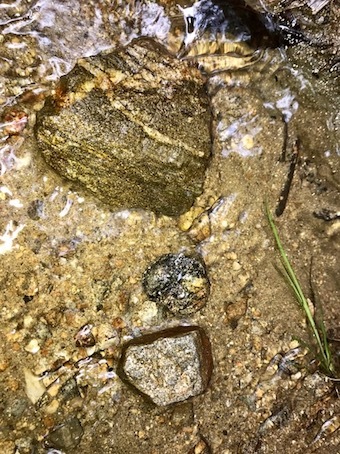 六甲山と瀬織津姫 248 龍王山の不動明王_a0300530_23244686.jpg