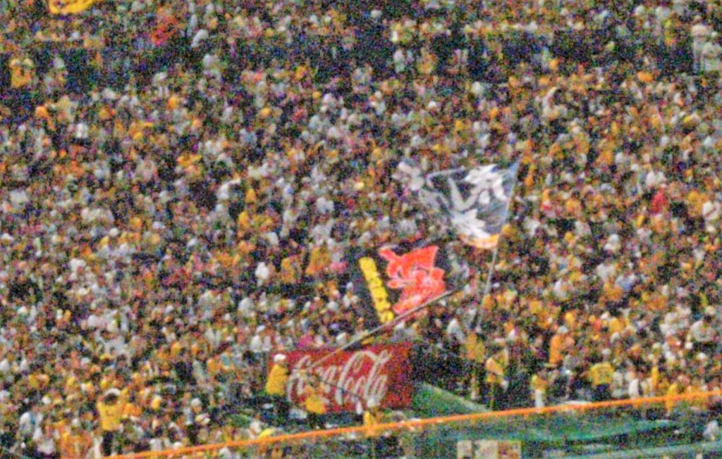 c0355331_10174969.jpg
