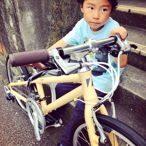 ライトウェイ シェファード シティ キッズ 20 RITEWAY SHEPHERD CITY