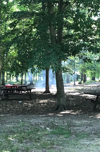 d0269832_20184136.jpeg