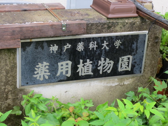 b0300333_10365097.jpg