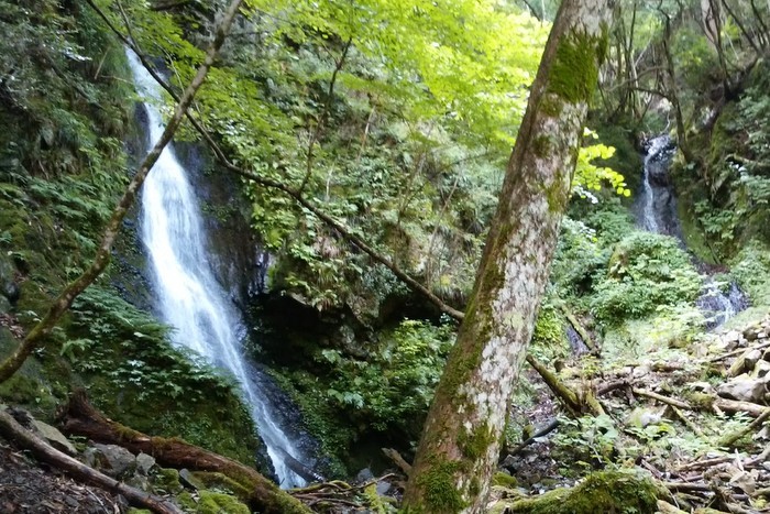 c0038434_10151603.jpg