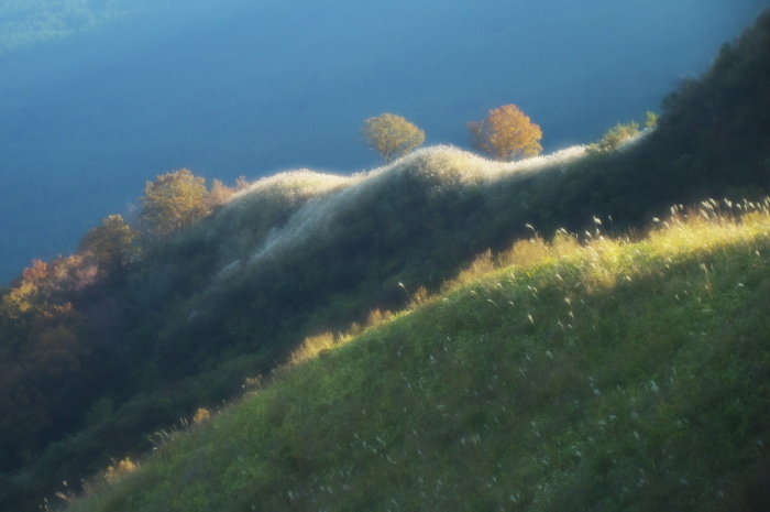e0006135_00260651.jpg