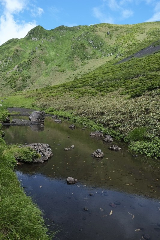 d0347140_10132495.jpg