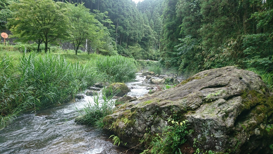 a0201743_20194885.jpg