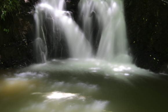c0093046_13144627.jpg