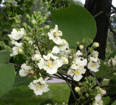 c0109850_03350000.jpg