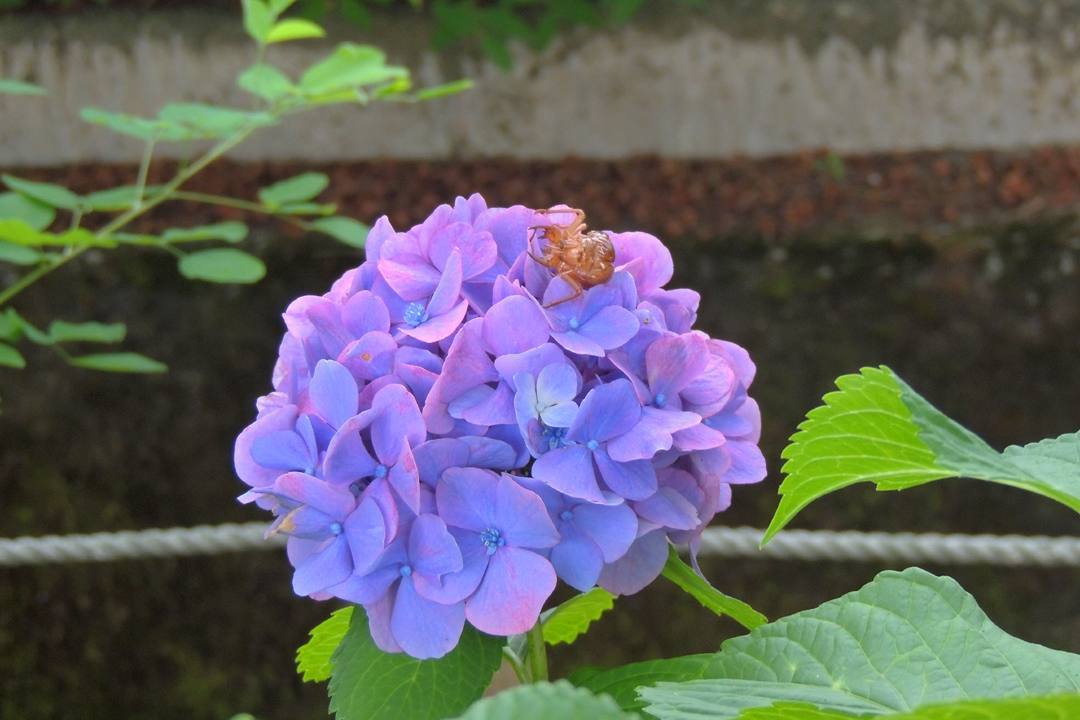 e0403850_06091477.jpg
