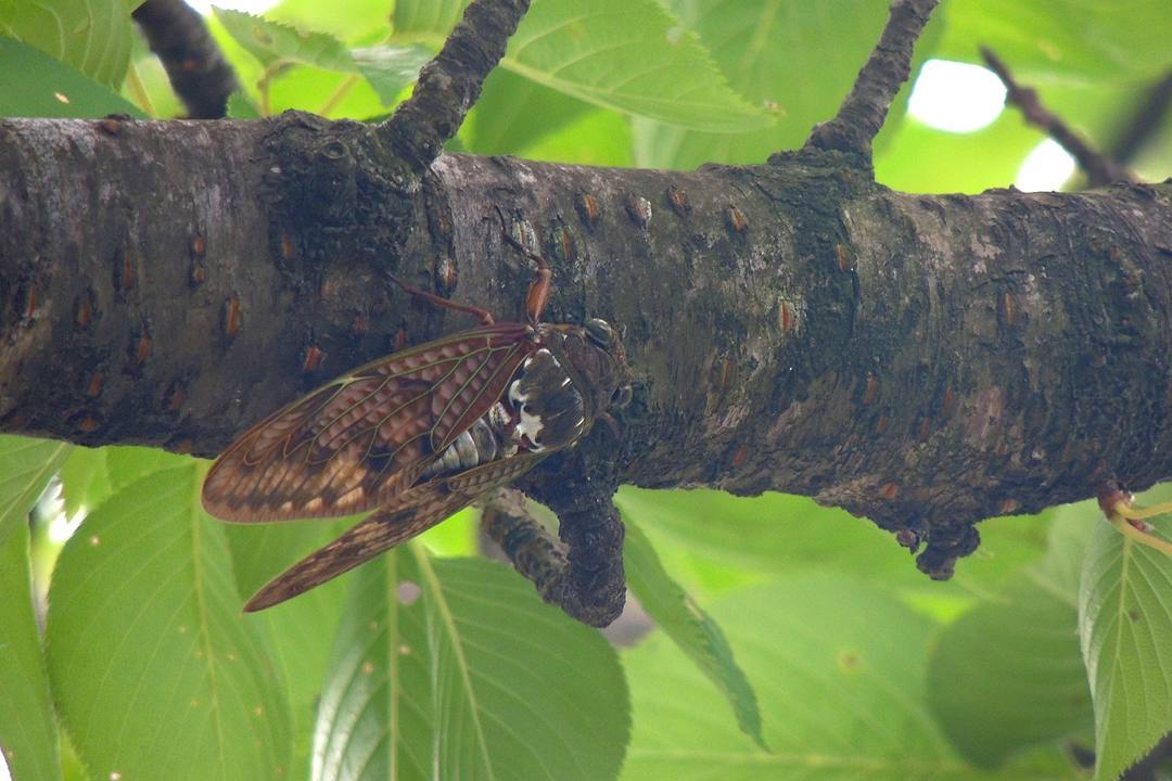 e0403850_06093557.jpg
