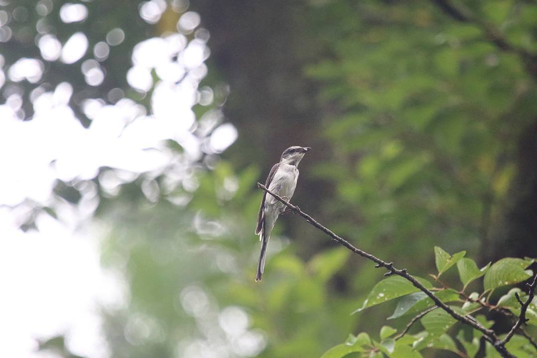 e0403850_20122061.jpg