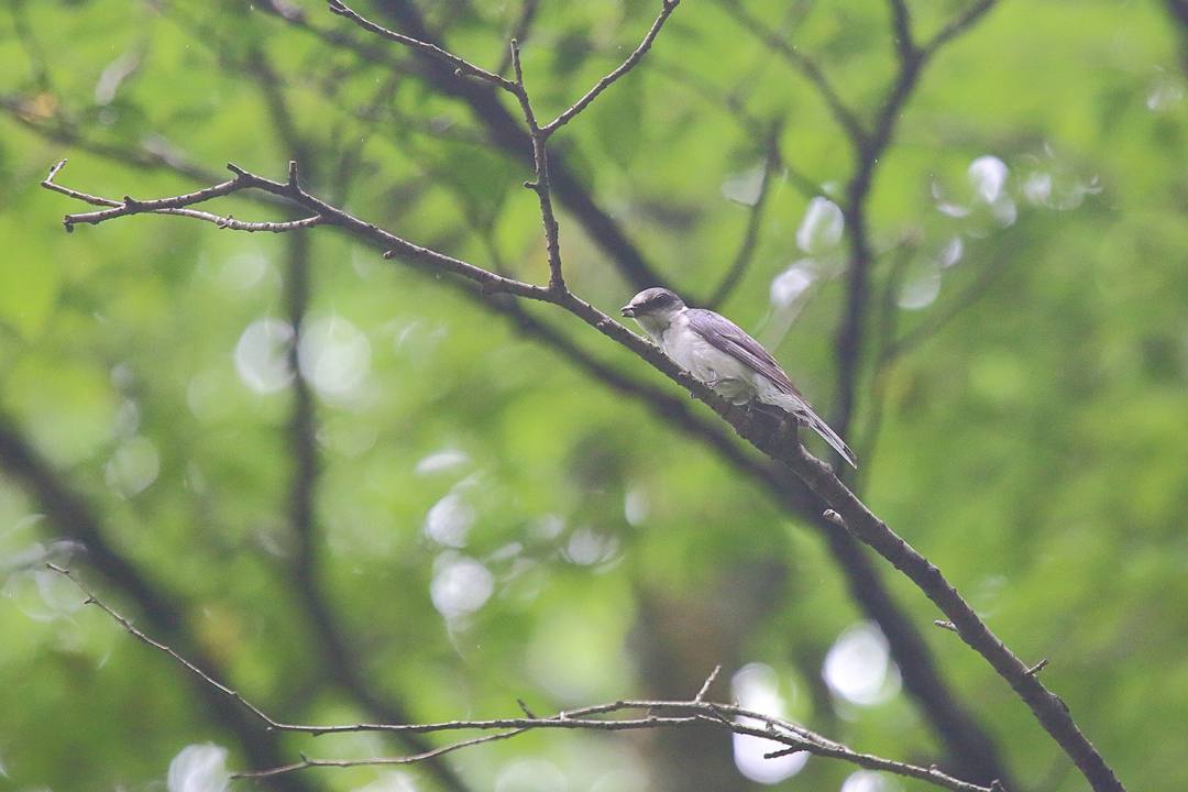 e0403850_20122925.jpg