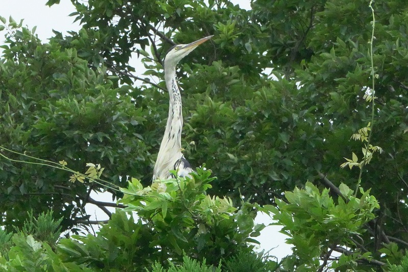 b0236251_11310434.jpg