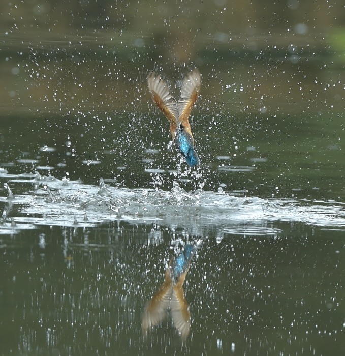 霧雨の中で_c0205858_16044529.jpg