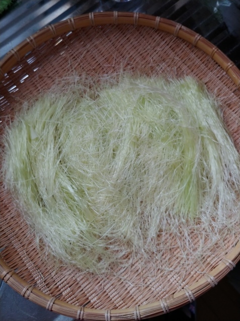 c0162773_11171201.jpg
