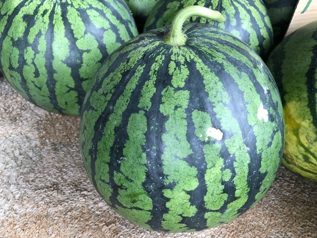 f0333882_11164563.jpg