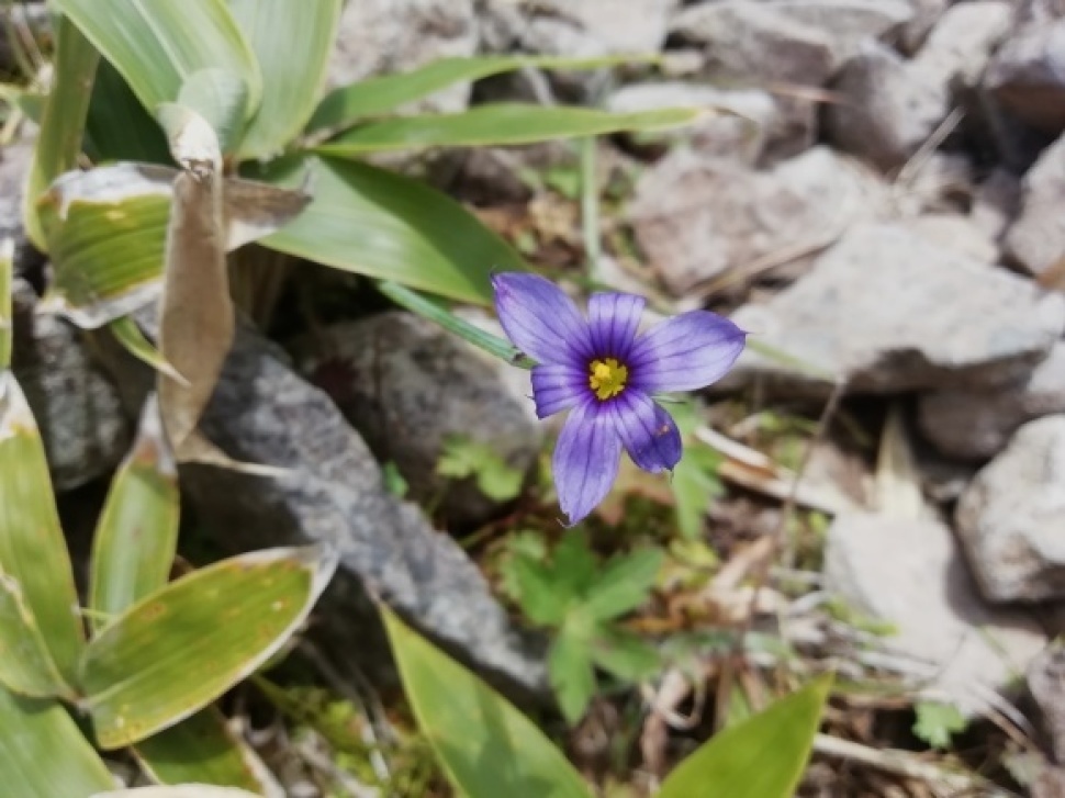 c0212083_17475892.jpg
