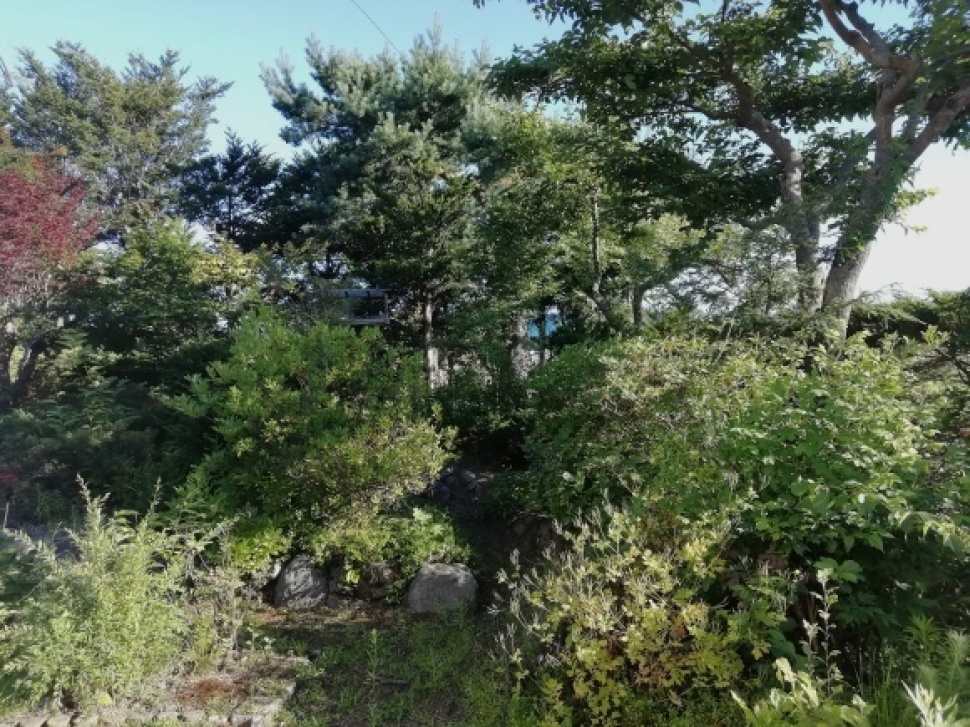 c0212083_17503589.jpg