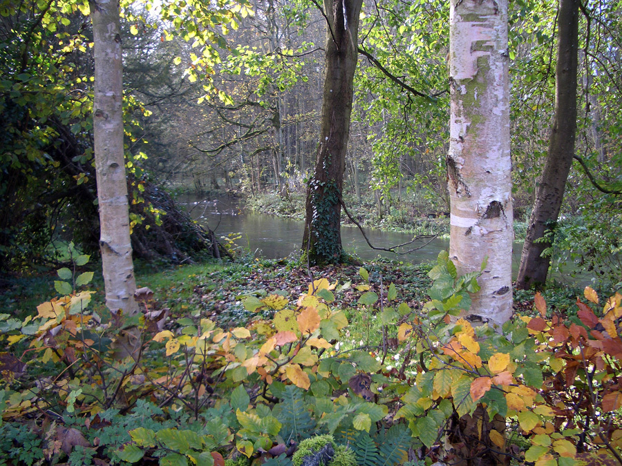 c0229384_16423719.jpg