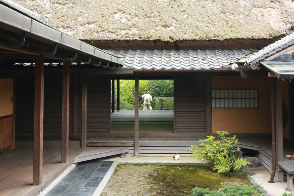 再訪 奈良の慈光院_b0349892_06345885.jpg
