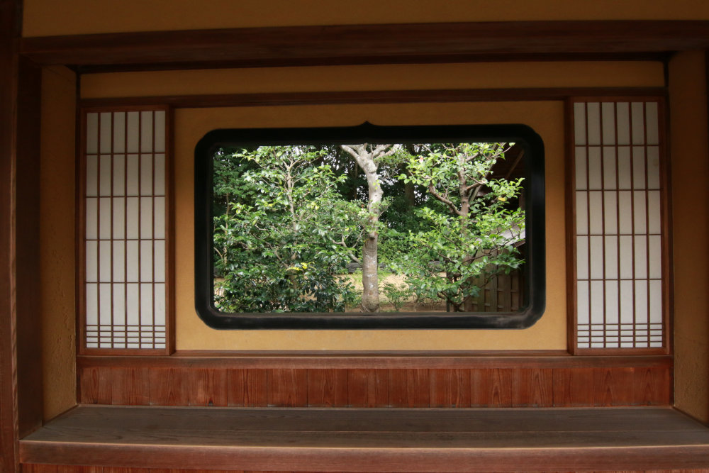 再訪 奈良の慈光院_b0349892_06352458.jpg