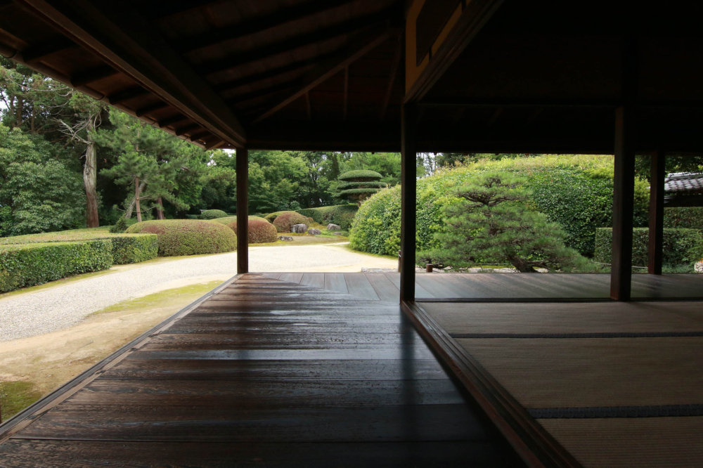 再訪 奈良の慈光院_b0349892_08530245.jpg