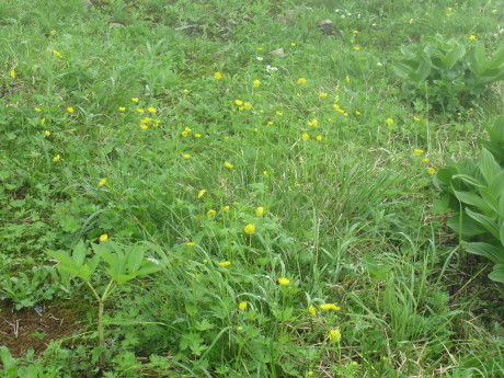c0242406_17005796.jpg