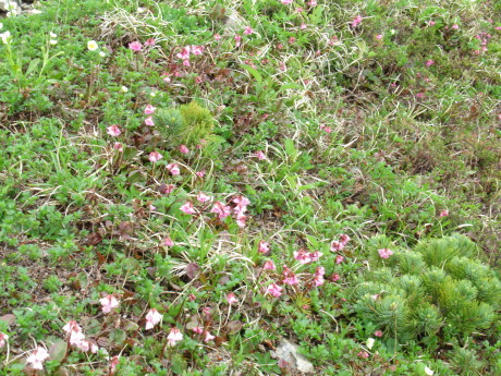 c0242406_17012016.jpg