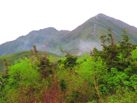 c0242406_17015256.jpg