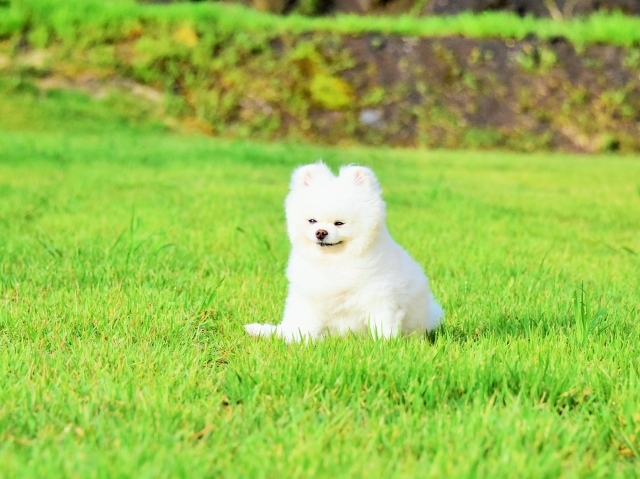 負けてたまるか_d0360206_00071648.jpg