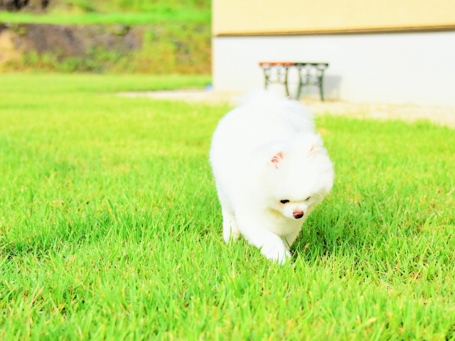負けてたまるか_d0360206_00073918.jpg