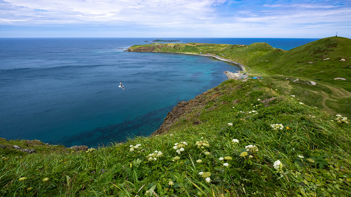 礼文　北の果ての風景   NORTH END OF REBUN ISLE, HOKKAIDO,JAPAN #FUJIX-T30_c0065410_19461813.jpg
