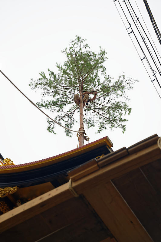 2019祇園祭後祭・山鉾建て 其の二_f0032011_19294254.jpg