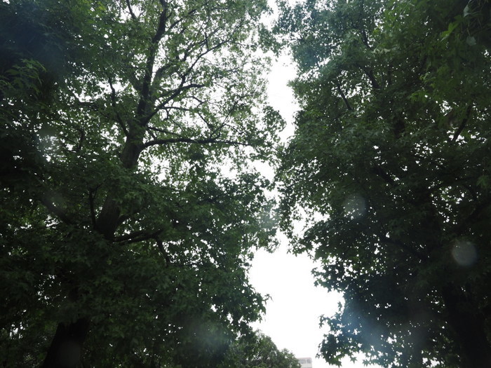 佐伯区民文化センター&五日市中央公園_c0116915_23572969.jpg