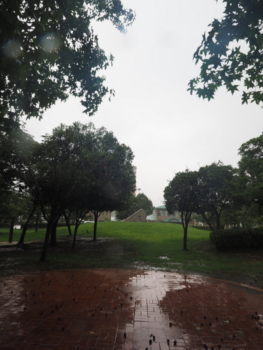 佐伯区民文化センター&五日市中央公園_c0116915_23581271.jpg