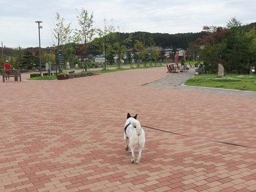 c0084117_18002446.jpg