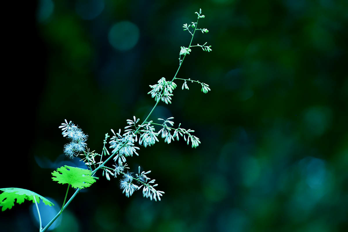 a0059621_20273576.jpg