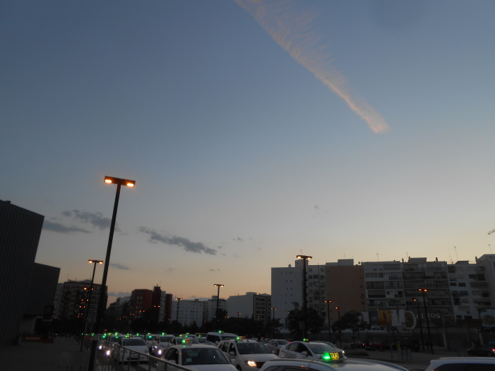 a0095931_20110635.jpg
