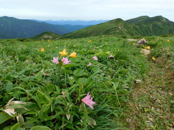 f0118332_22582650.jpg