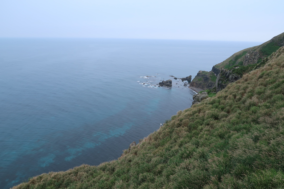 天売島の島内巡り～夏の北海道　探鳥と登山、丘巡り③_d0366733_19240027.jpg