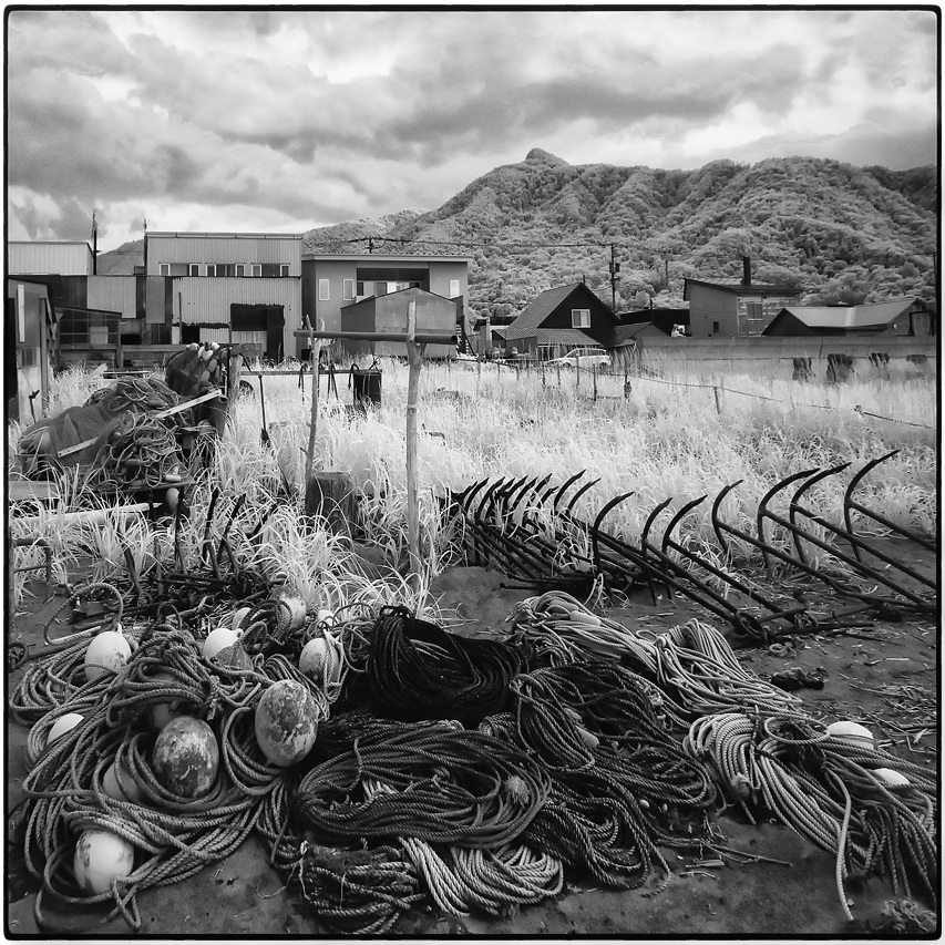 50年ぶり 銭函海岸 コバチャンのblog 50年ぶり 銭函海岸 コバチャンのblog