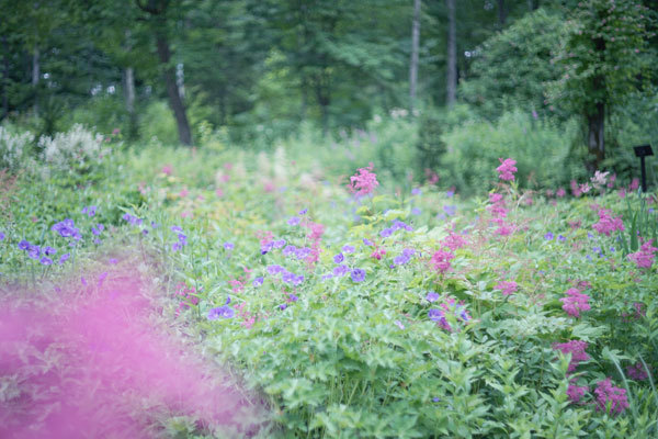 c0023443_13183345.jpg