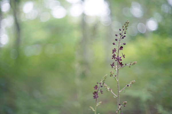 c0023443_13273216.jpg